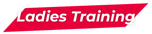 template widget personnal training
